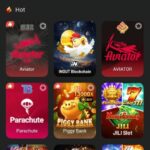 Latest version Fly33